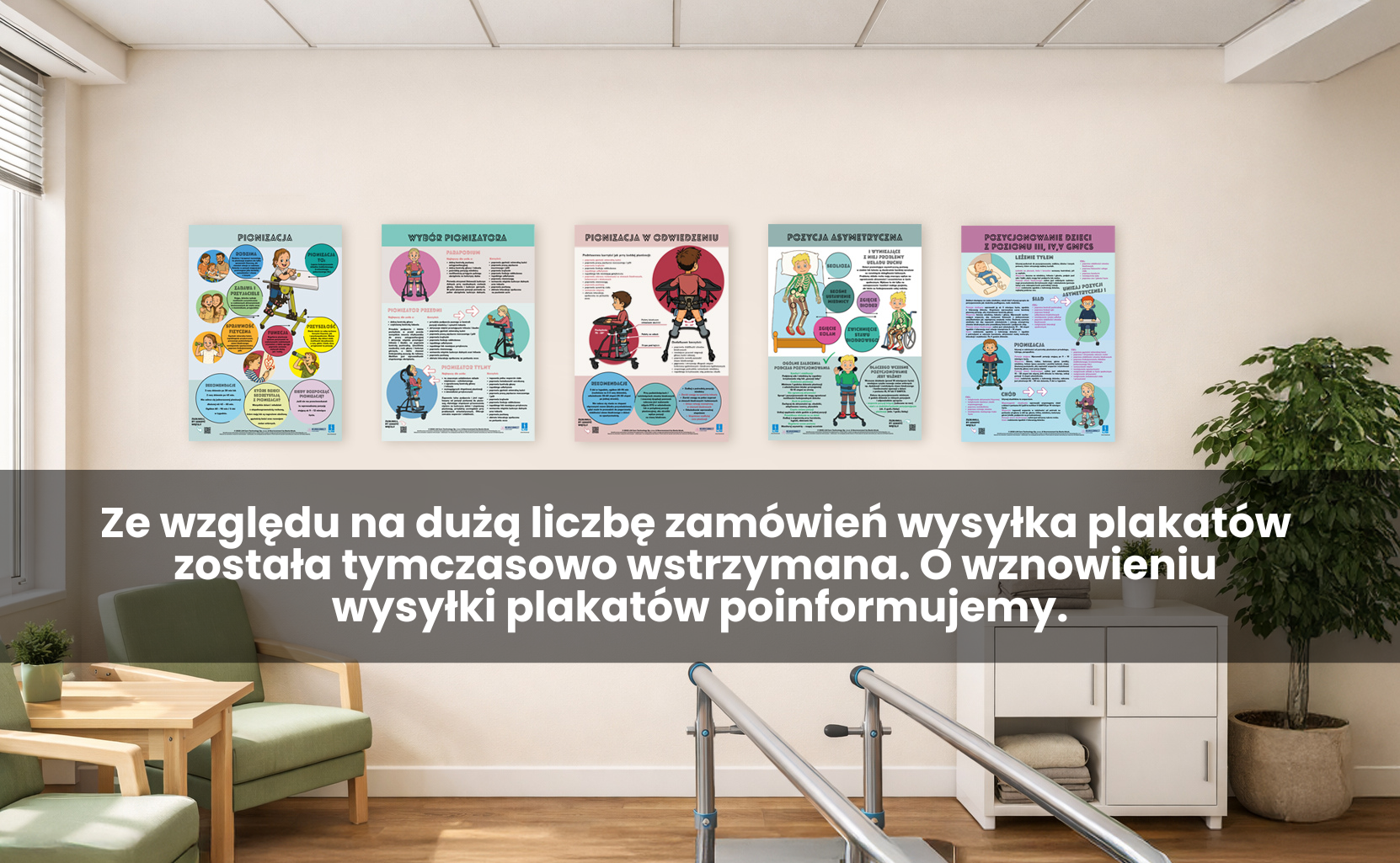 Pionizacja - zamów plakat edukacyjny - WYSYŁKA TYMCZASOWO WSTRZYMANA