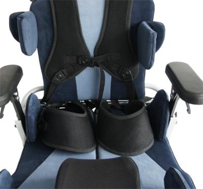 Pelvic Support System (PelviSystem)