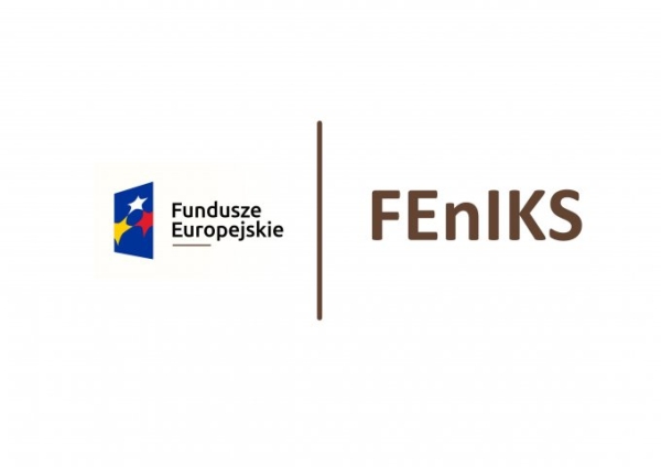 FEnIKS – Działanie 6.1 - Program dofinansowania